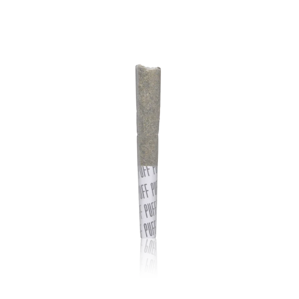 Premium Pre-roll Pack
