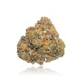 Exotic Flower