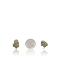Premium Smalls