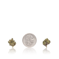 Premium Smalls
