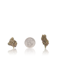 Bulk Exotic Smalls