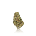 Bulk Premium