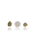 Budget Smalls