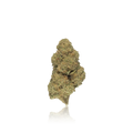 Budget Flower