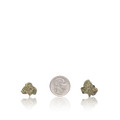 Exotic Smalls