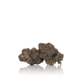 Exotic Flower