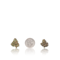 Exotic Smalls