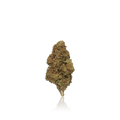 Budget Flower