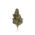 Budget Flower