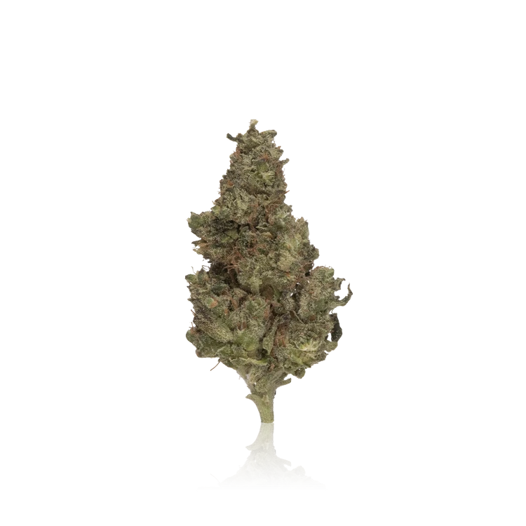 Budget Flower
