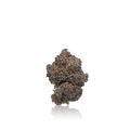 Exotic Flower