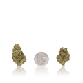 Bulk Premium