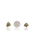 Premium Smalls