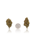 Budget Flower