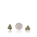 Exotic Smalls