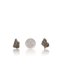 Bulk Exotic Smalls