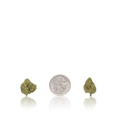 Bulk Exotic Smalls