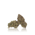 Exotic Flower