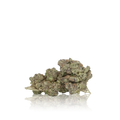 Exotic Flower