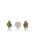 Exotic Smalls