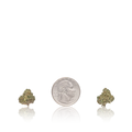Bulk Exotic Smalls
