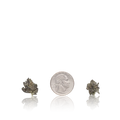 Bulk Premium Smalls