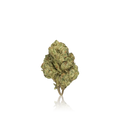 Bulk Premium