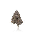Exotic Flower