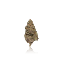 Premium Flower