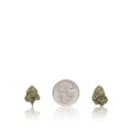 Exotic Smalls