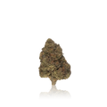 Budget Flower