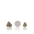Bulk Exotic Smalls