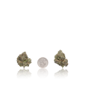 Premium Flower