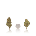 Budget Flower
