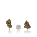 Budget Flower