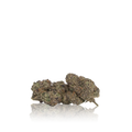 Exotic Flower