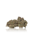 Exotic Flower