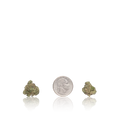 Exotic Smalls