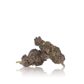 Premium Flower