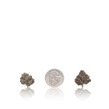 Bulk Exotic Smalls