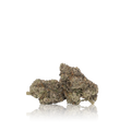 Exotic Flower