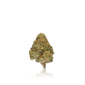 Bulk Premium