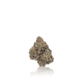Exotic Flower