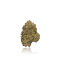 Budget Flower