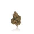 Budget Flower