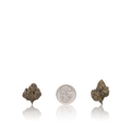Bulk Exotic Smalls