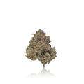 Exotic Flower