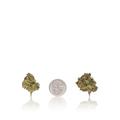 Budget Smalls