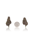 Premium Flower