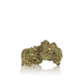 Budget Flower
